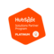 HubSpot Platinum Partner